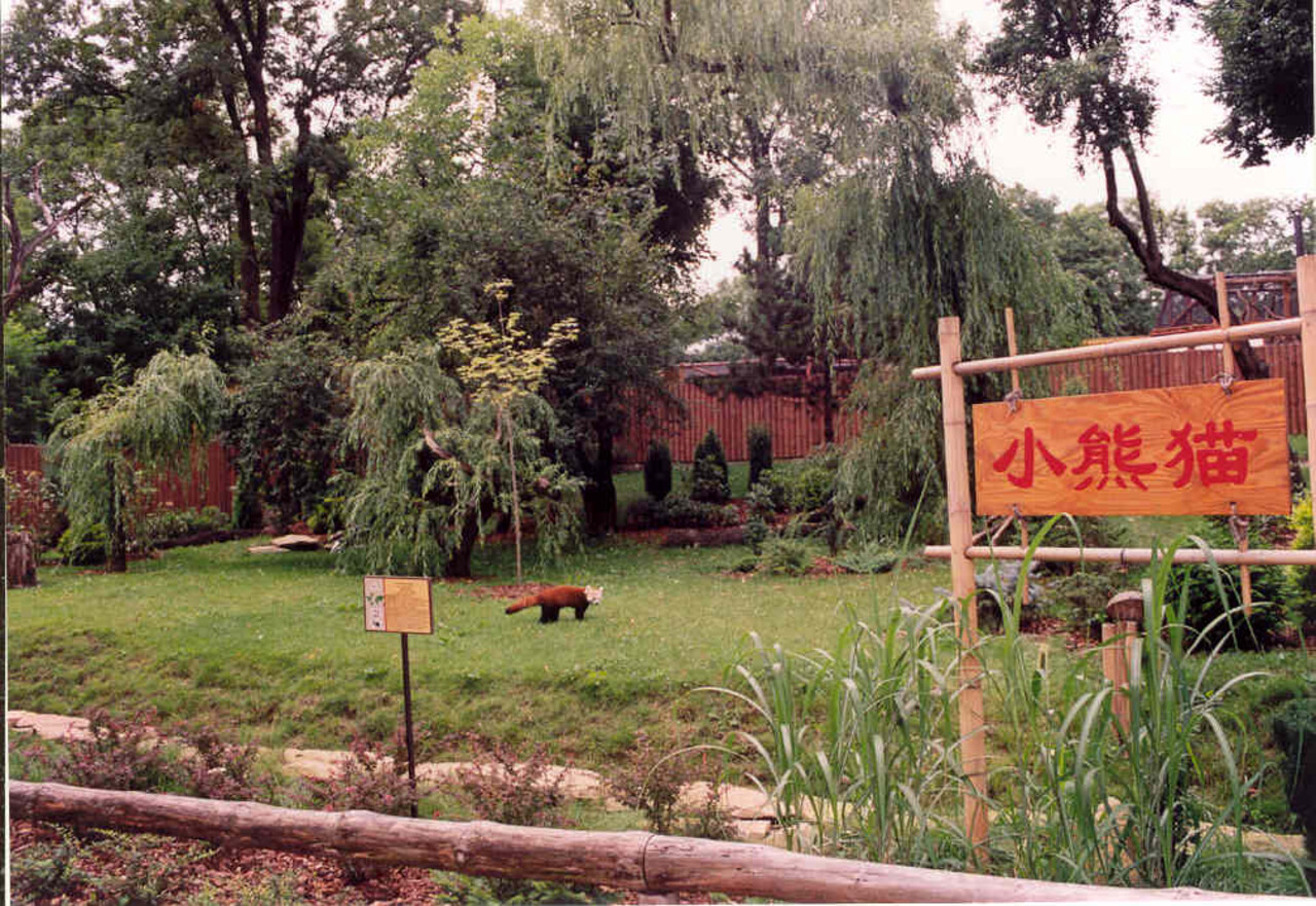 Red panda exhibit