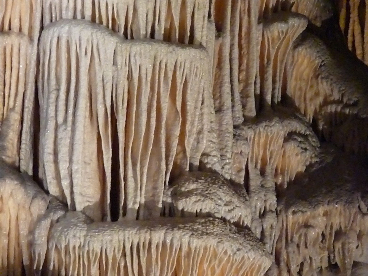 Amazing rock forms, Postojna Jama Cave Park, Slovenia